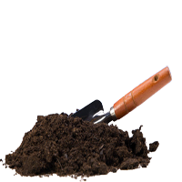 אדמה ארומה יין