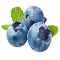 אוכמניות ארומה יין