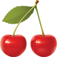 דובדבן ארומה יין