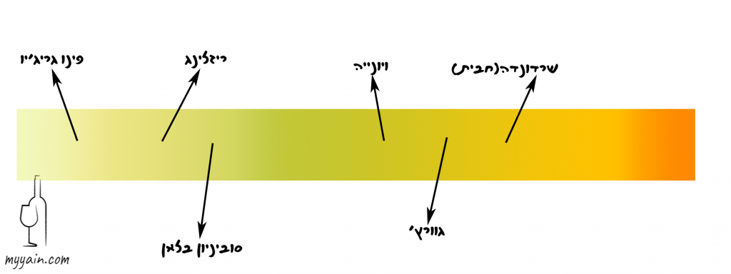 צבעים יין לבן