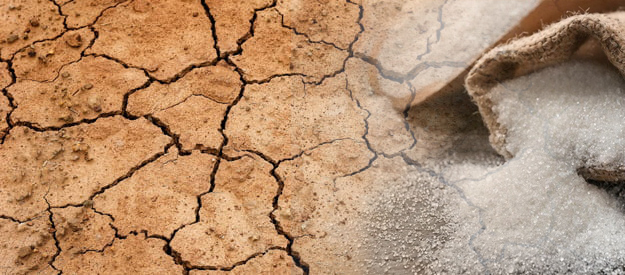 יין מתוק מול יין יבש