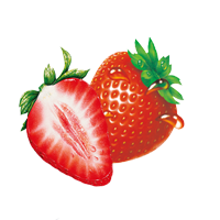 תות ארומה יין