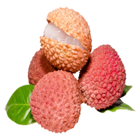 ליצי ארומות יין