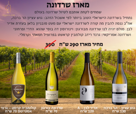 מארז שרדונה