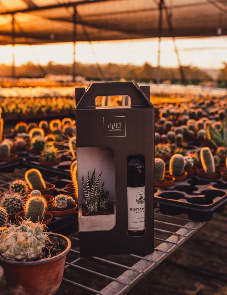 מתנת יין - מארז יין וסוקולנט