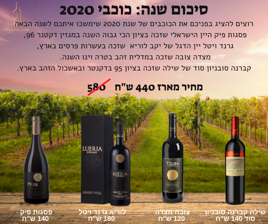 מארז סיכום שנה