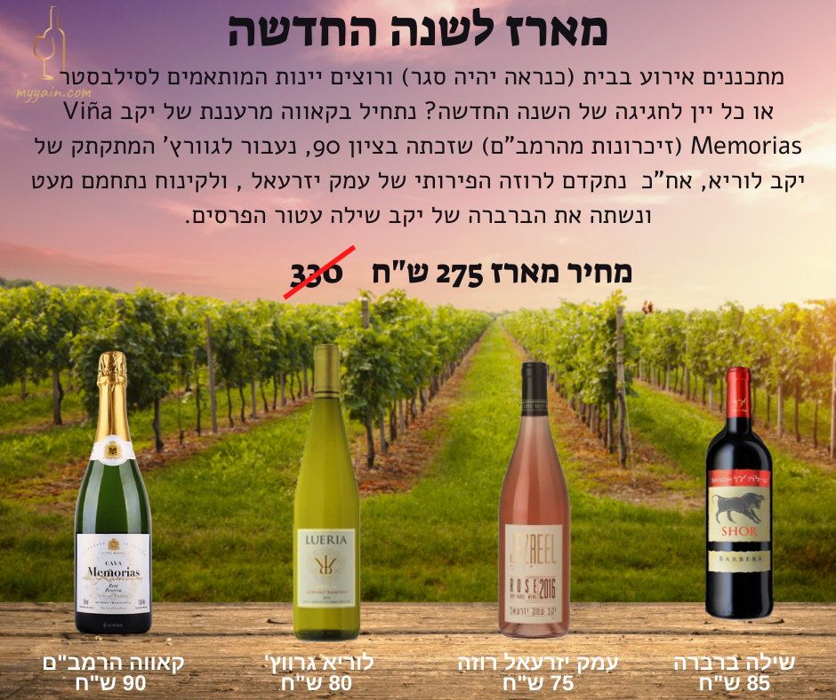 מארז שנה חדשה