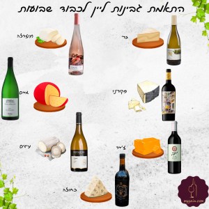 התאמת יין לגבינות