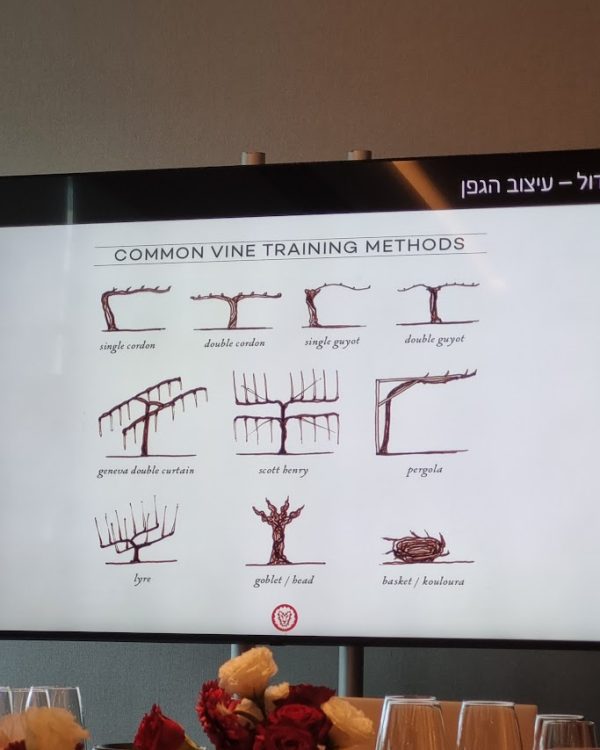 שיטות הגידול